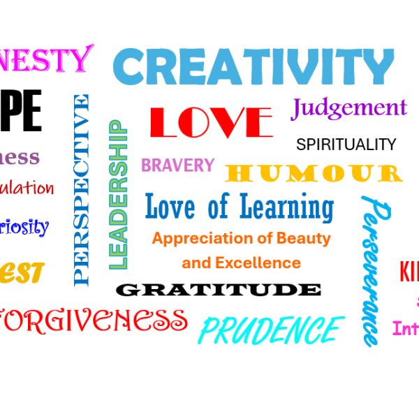 VIA Character Strengths